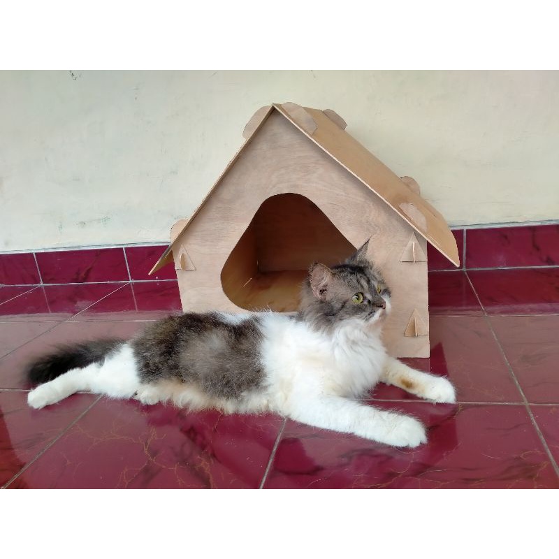 Jual Kandang Kucing Kandang Rumah Kucing Kandang Rumah Kucing Bongkar