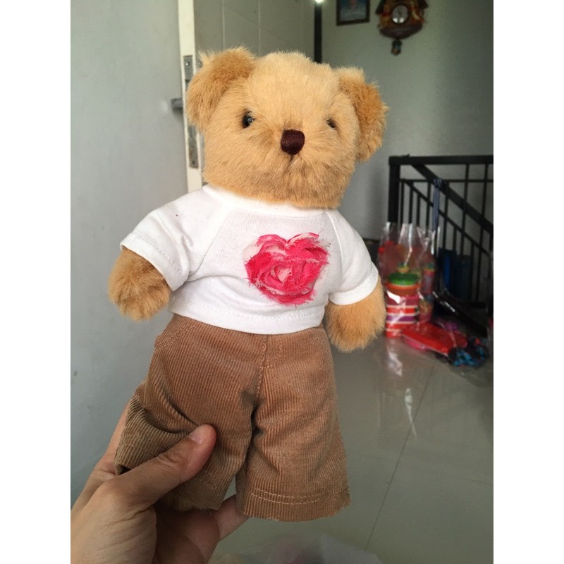 teddy bear cowok from teddy house