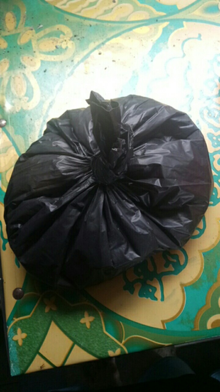 Semen Eceran Tigaroda