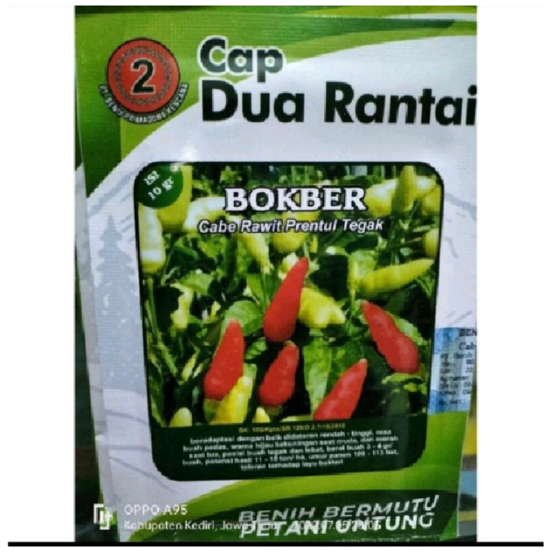 Cabai BOKBER Cabai Rawit Prentul Tegak 10gr