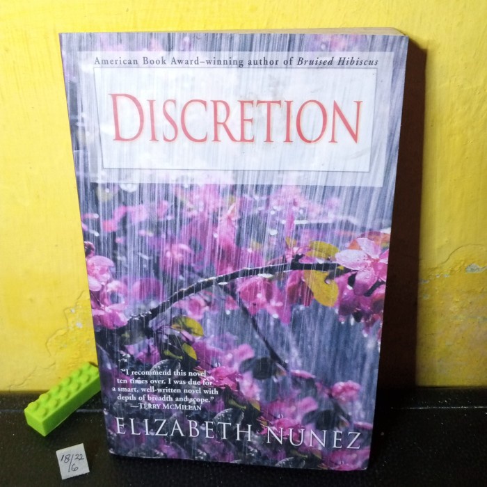 novel bahasa Inggris discretion by Elizabeth Nunez 276 hal