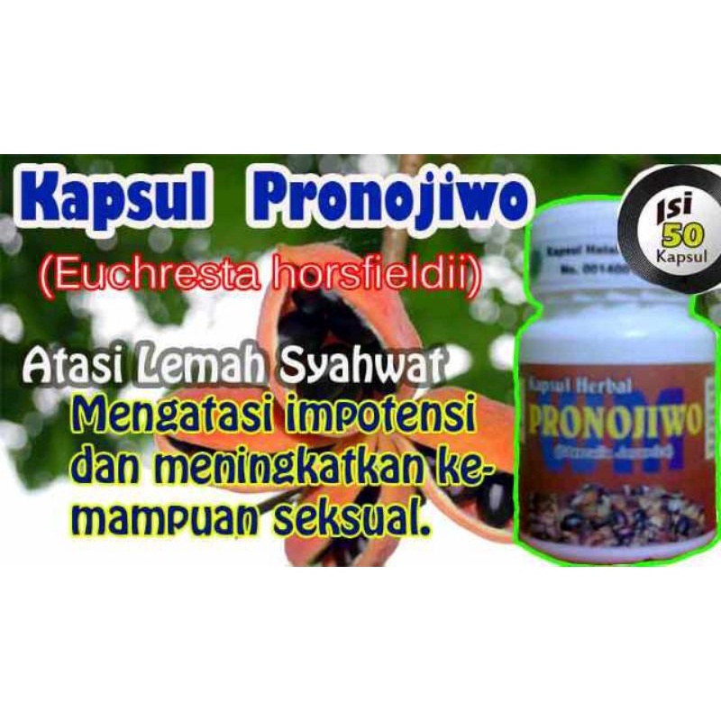 PRONOJIWO Kapsul Obat Herba Pembangkit Libido Kuat Pria Tahan Lama TBC
