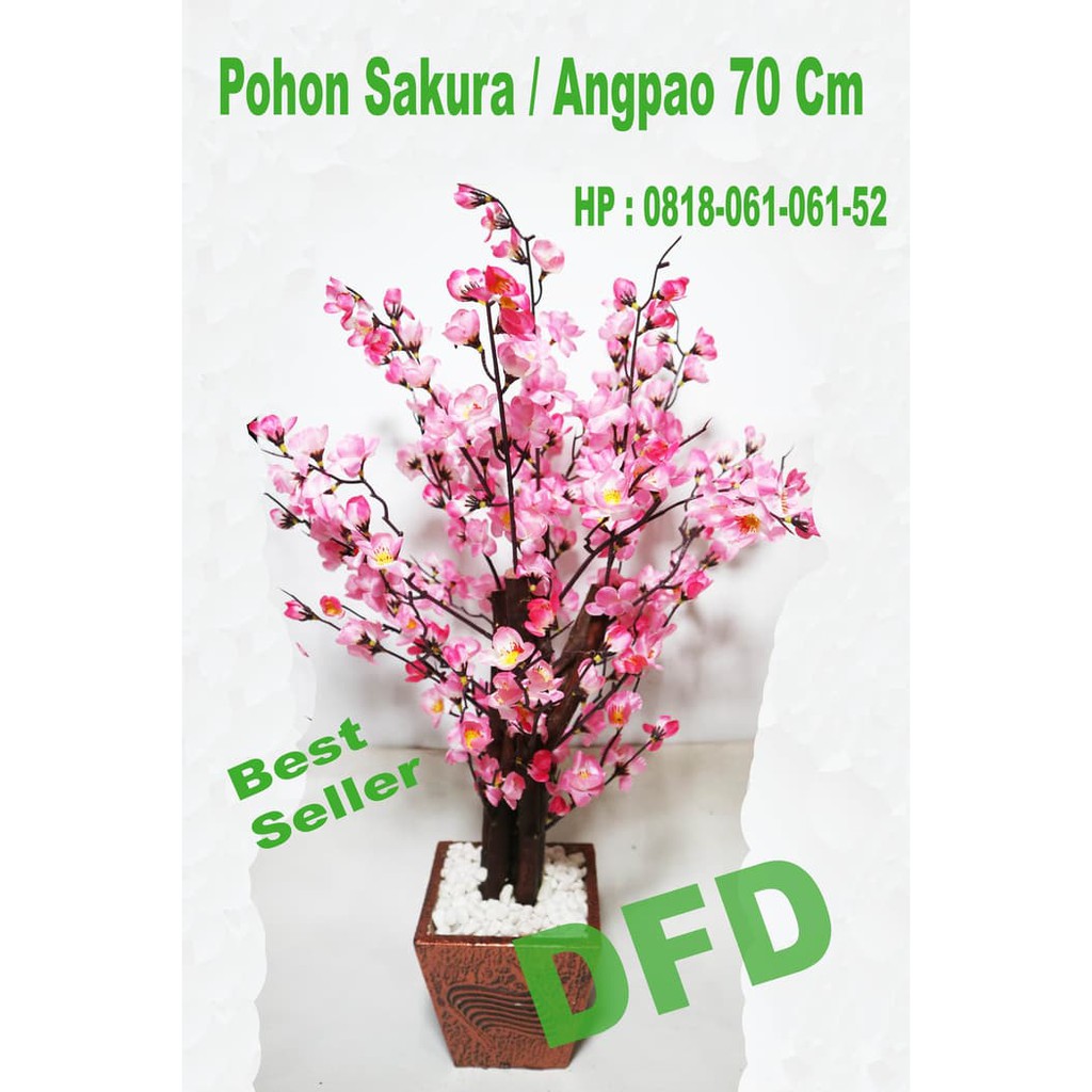  Paling  Bagus  16 Gambar  Bunga  Sakura  Bergerak Gambar  