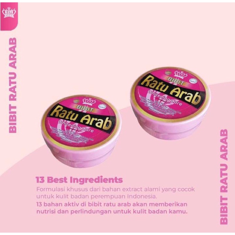 HB BIBIT RATU ARAB   BIBIT RATU ARAB KALTENG   BIBIT RATU ARAB ORI   HB RATU ARAB  HB RATU ARAB VIRA