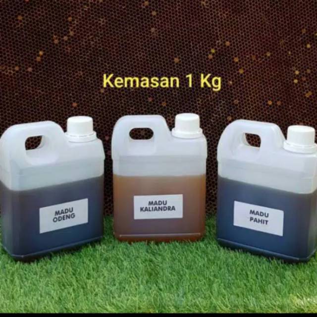 

Madu Lebah Asli