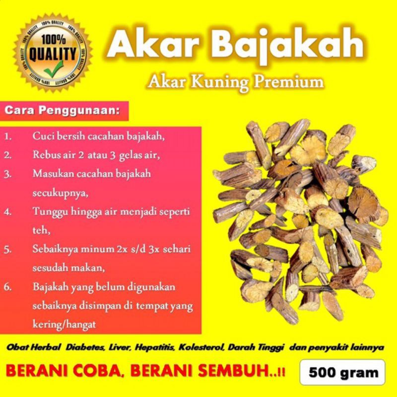 

Akar Bajakah Kuning Kering 1 Kg siap rebus