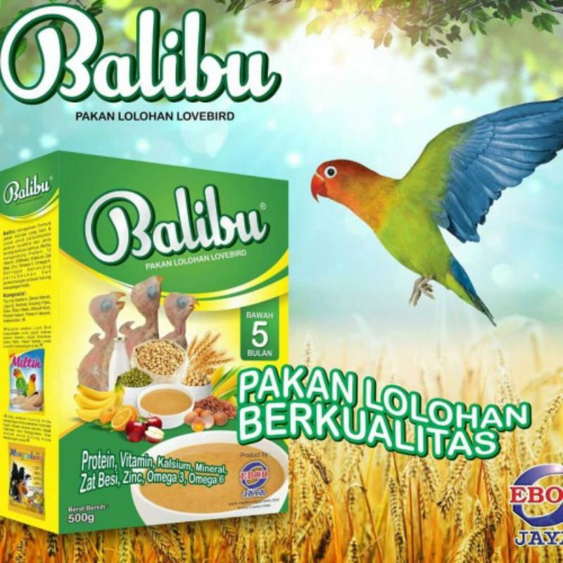 pakan lolohan Balibu Lovebird Ebodjaya