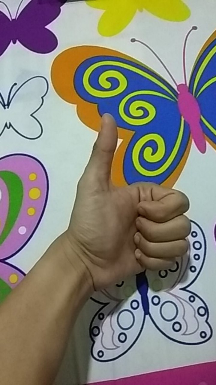 Kotak Makan Bento Lunch Box Set 3 Tingkat Transparant Lid Tempat Makan Bpa Free 900m