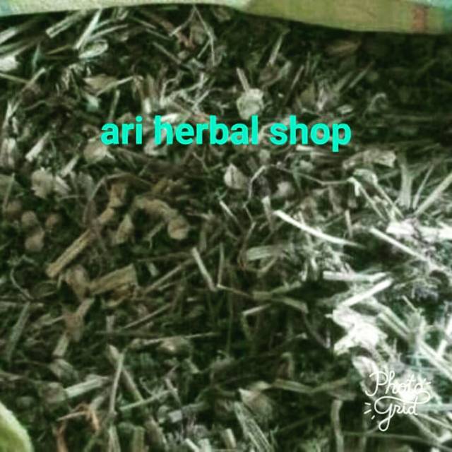 

ciplukan kering 500 gram