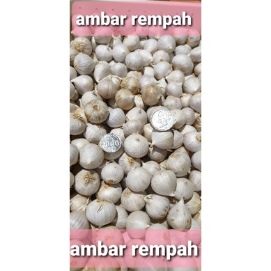 

Bawang putih tunggal besar/bawang lanang 500gram.