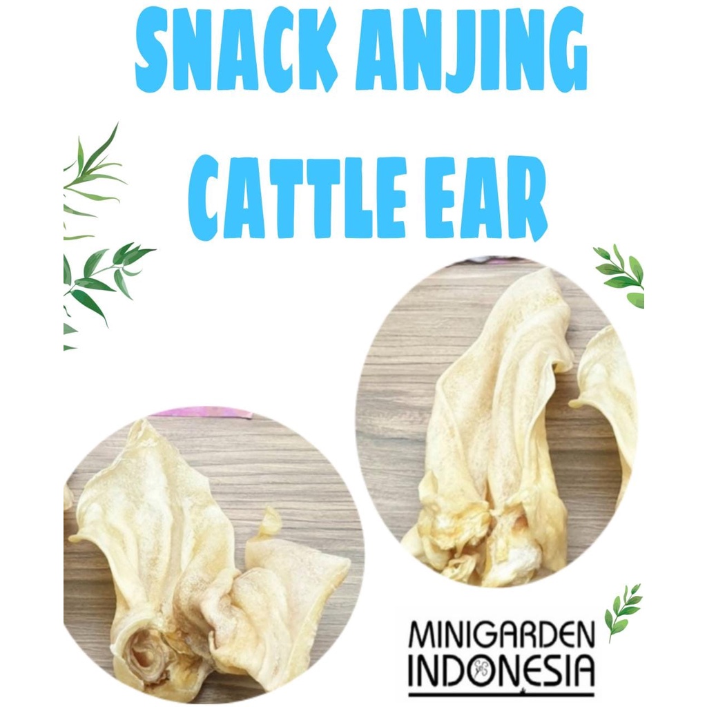 SNACK GIGITAN ANJING telinga sapi kering rawhide dog snack