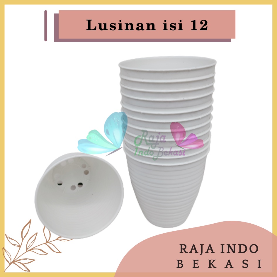 Lusinan Pot Tawon Pirus 15 Putih Pot Tawon Pirus Tirus Tinggi 15 18 20 25