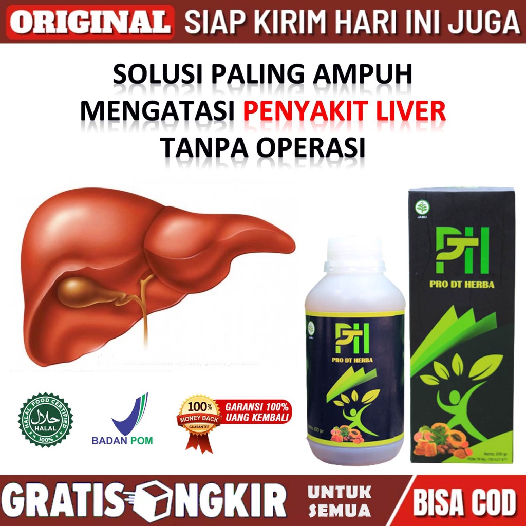 Obat Liver Perut Bengkak Terbaik Bpom - Obat Liver Membengkak - Obat Liver&Ginjal - Obat Liver Ampuh