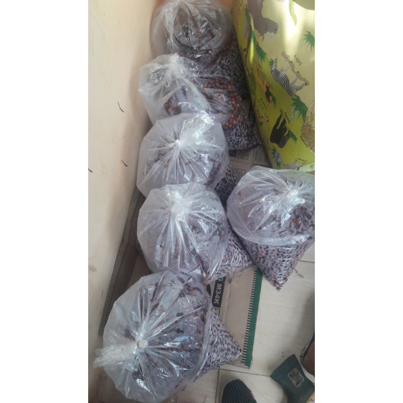 

Kopi Petik Merah Asli Dempo #proses Wine per 1kg