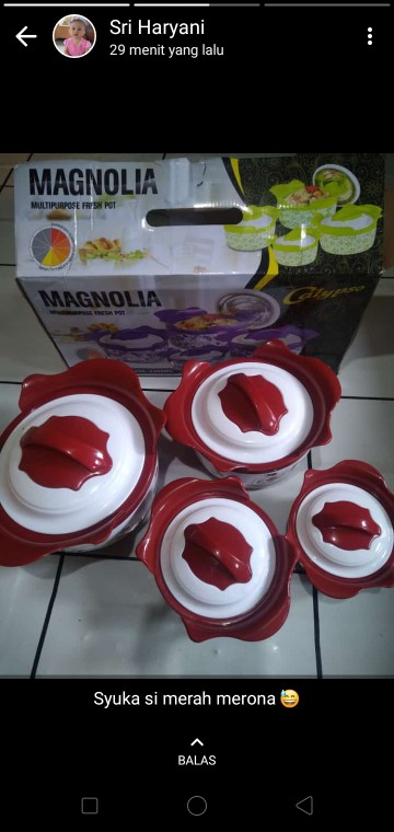 Cc-magnolia Food Warner /penghangat Makanan