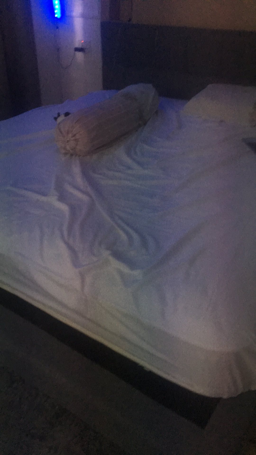 [themorgonza] King Plain Bedsheet 180cm White • Sprei Putih Polos Microtex Aesthetic