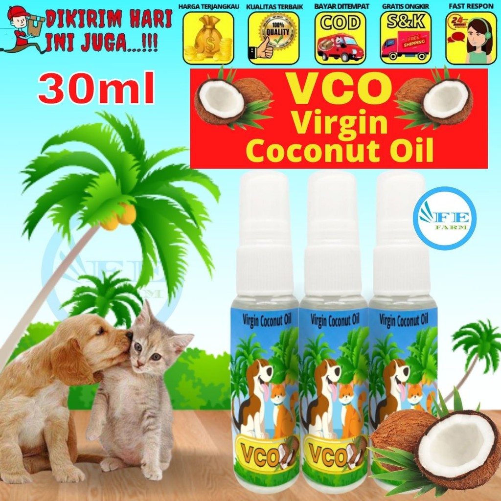 VIRGIN COCONUT OIL 30ml MINYAK KELAPA MURNI VCO MURNI OBAT JAMUR OBAT SCABIES KUCING OBAT BULU HEWAN