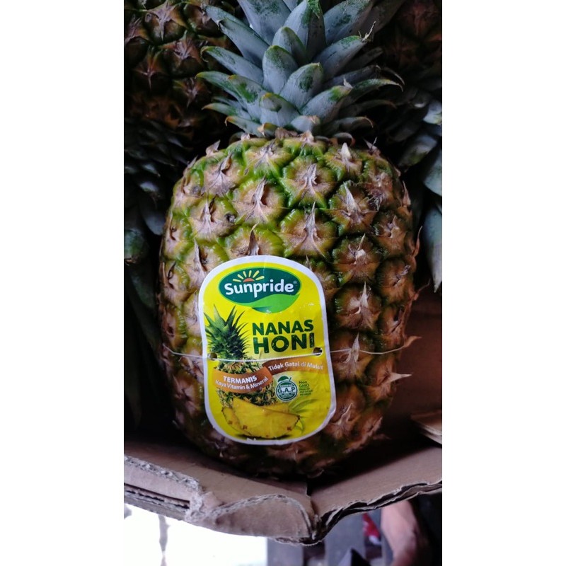 

BUAH Nanas Honi Madu Sunpride [HARVEST LINE]