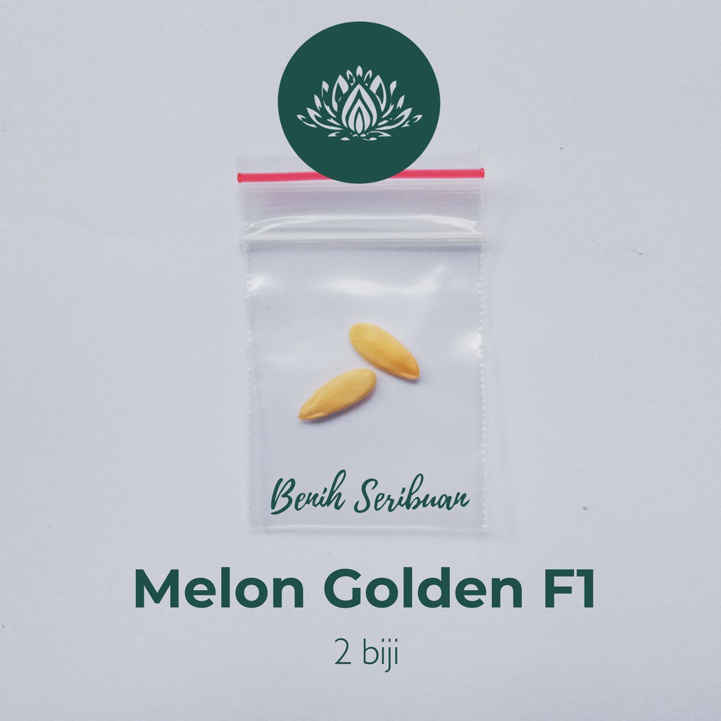 2 Benih Bibit Melon Golden F1 Hibrida Eksis Buah Buahan Melon Kuning Super Bintang Asia Tahan Virus Unggul