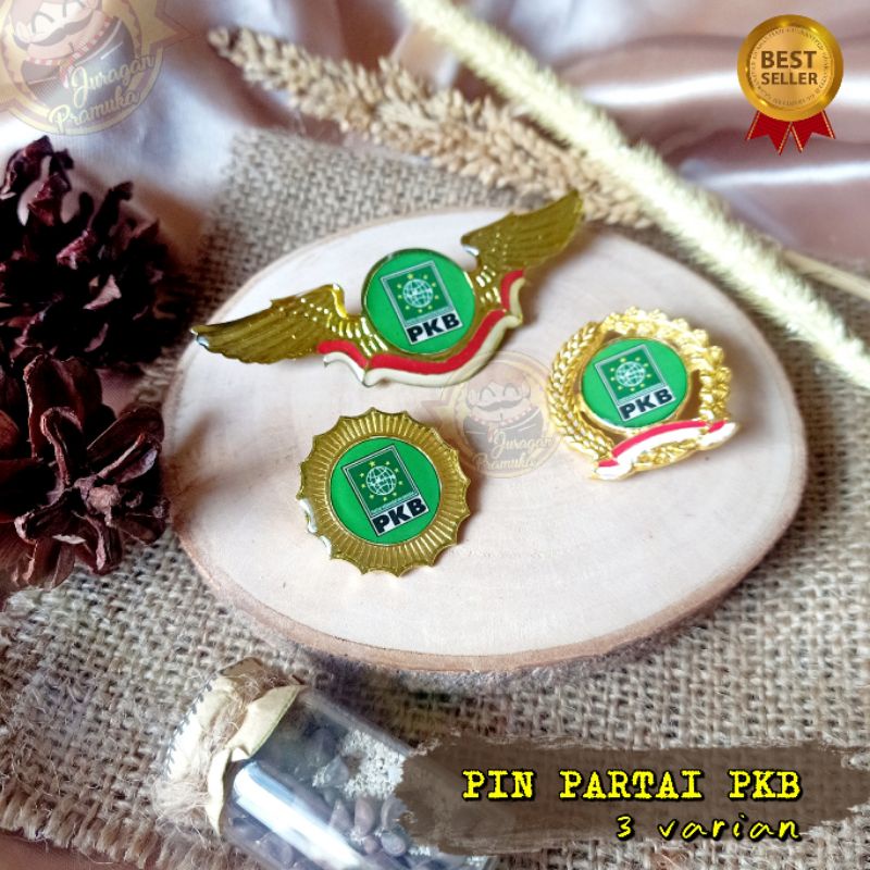 PIN PARTAI PKB