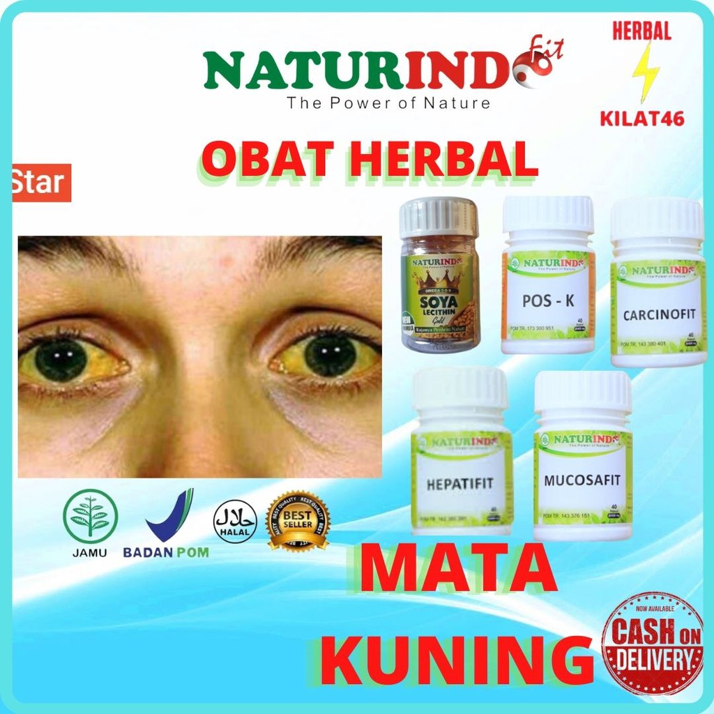 

OABAT HERBAL MATA KUNING HEPATITIS TUMOR EMPEDU ALAMI AMAN TANPA EFEK SAMPING SOLUSINYA PAKET SEHAT