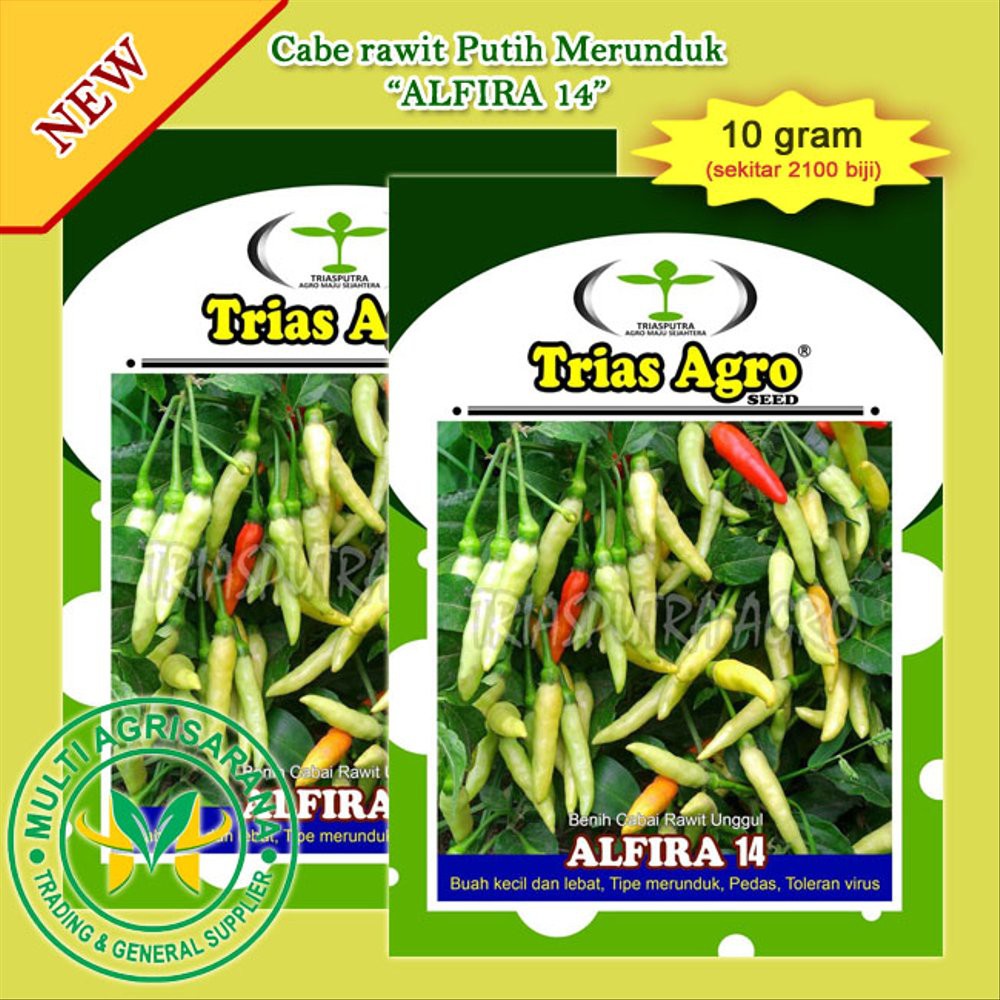Benih Cabe Rawit Putih Merunduk ALFIRA 14 Murah