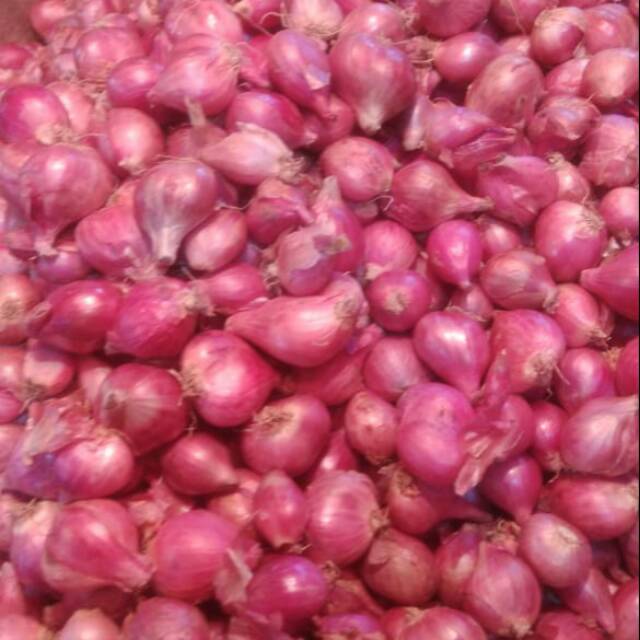 

Bawang merah