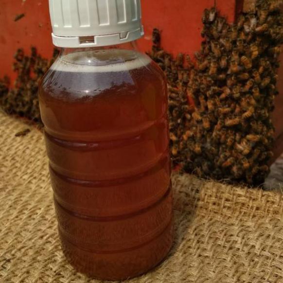 

Flash Sale!! KODE-770 Madu Murni Madu Pollen+Royal Jelly