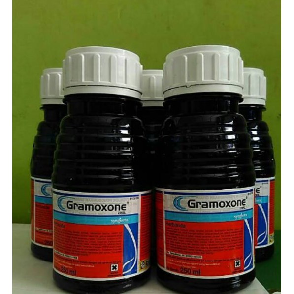 HERBISIDA (PEMBASMI RUMPUT LIAR) PAVING BLOK GRAMOXONE 250ML