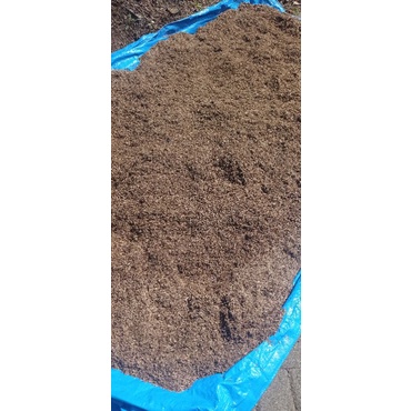 KAYU GAHARU BAHAN UNTUK MEMBUAT BUHUR, BUKHUR, BAKHOOR