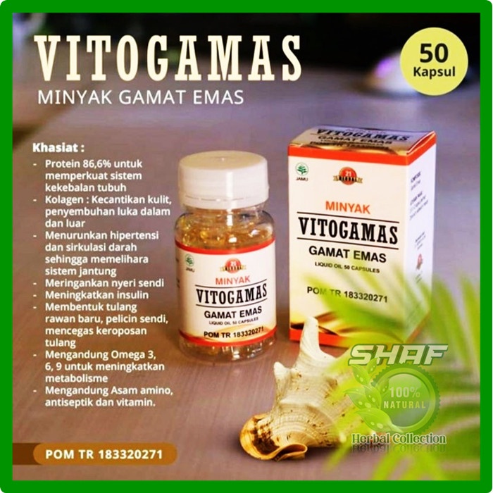 Minyak Gamat Emas 50 Kapsul Vitogamas atasi Kolesterol, Sinusitis, Persendian, asam Urat, Luka Pasca