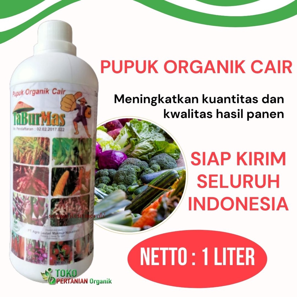 Pupuk cair untuk sayur Artichoke, POC TABUR MAS Nutrisi mempercepat masa panen buah Apel, tanaman Ak
