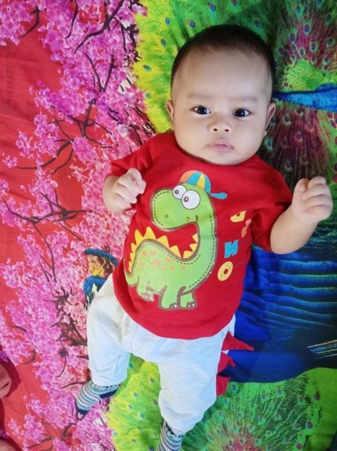 HELLO DINO NEWBORN TEE Set ANAK KAOS BABY