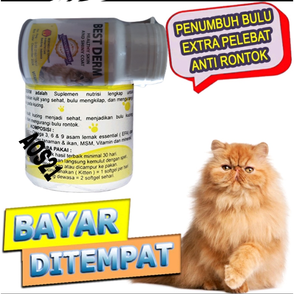 VITAMIN BEST DERM PENUMBUH DAN PENGKILAP BULU KUCING ISI 30 BUTIR