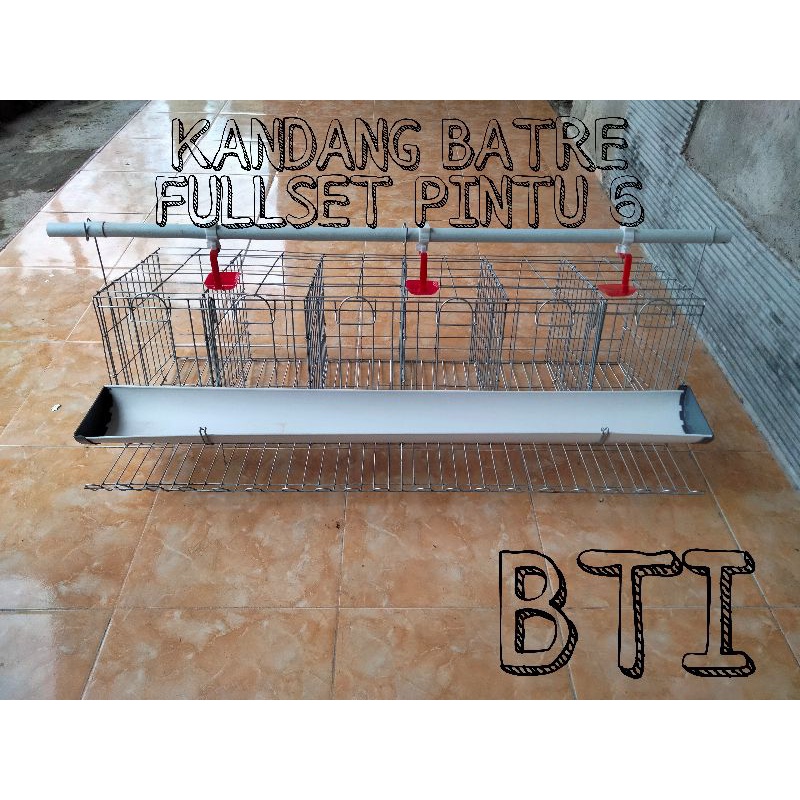 KANDANG BATRE GALVANIS AYAM DAN BEBEK PETELUR FULL SET PINTU 6