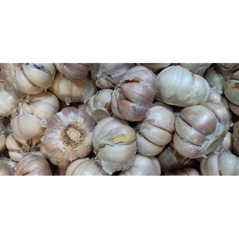 

Bawang putih murah 250gram