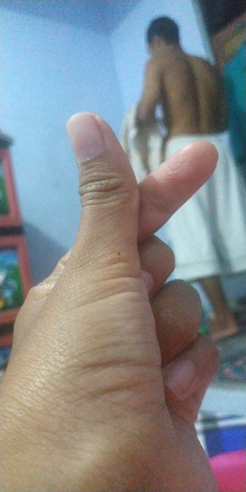 Tekiro Gergaji 20inch Tpr 2mata Hand Saw 2 Teeth Original