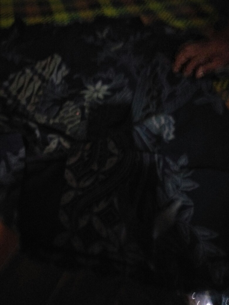 Kemeja Batik Pria Bahan Katun Premium Reguler Fit Prabu E012