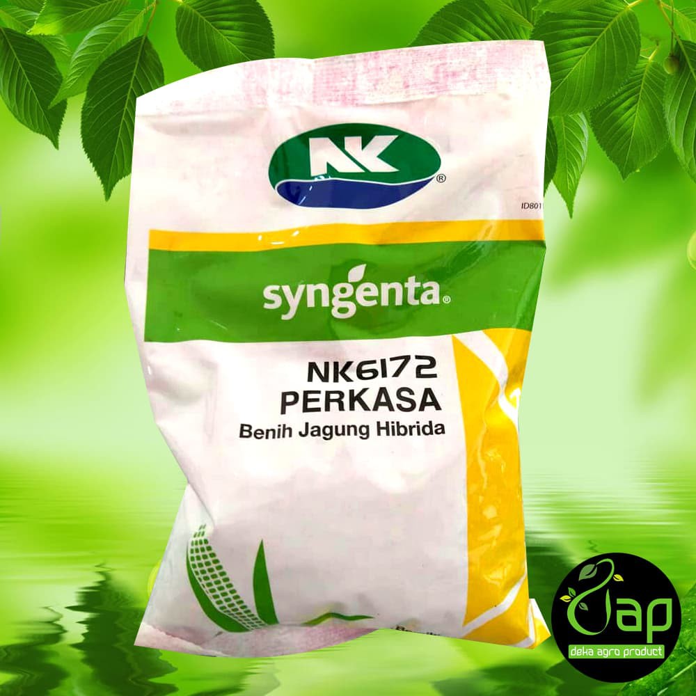 BIBIT/BENIH JAGUNG NK 6172 PERKASA 1KG SYNGENTA