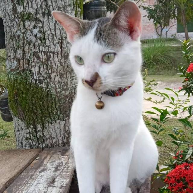 1dv73ppmr8a6_vc04mya3sj9n8z4