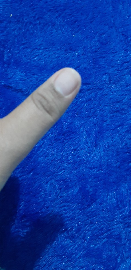 Khan Batik - Kemeja Batik Anak Merak Soft Seno Biru Cendrawasih Sogan Gurita Sogan Batik Atasan Kid