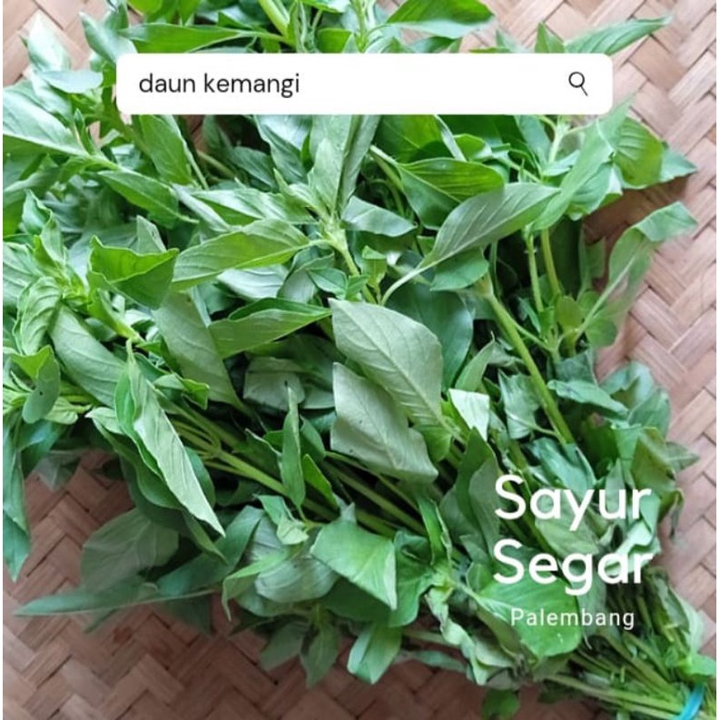

Daun Kemangi Per Ikat Sayur Segar Palembang