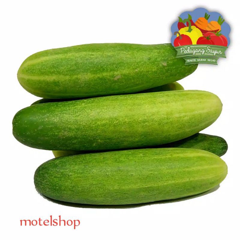 

Timun/mentimun-timun curah 500g - timun fresh