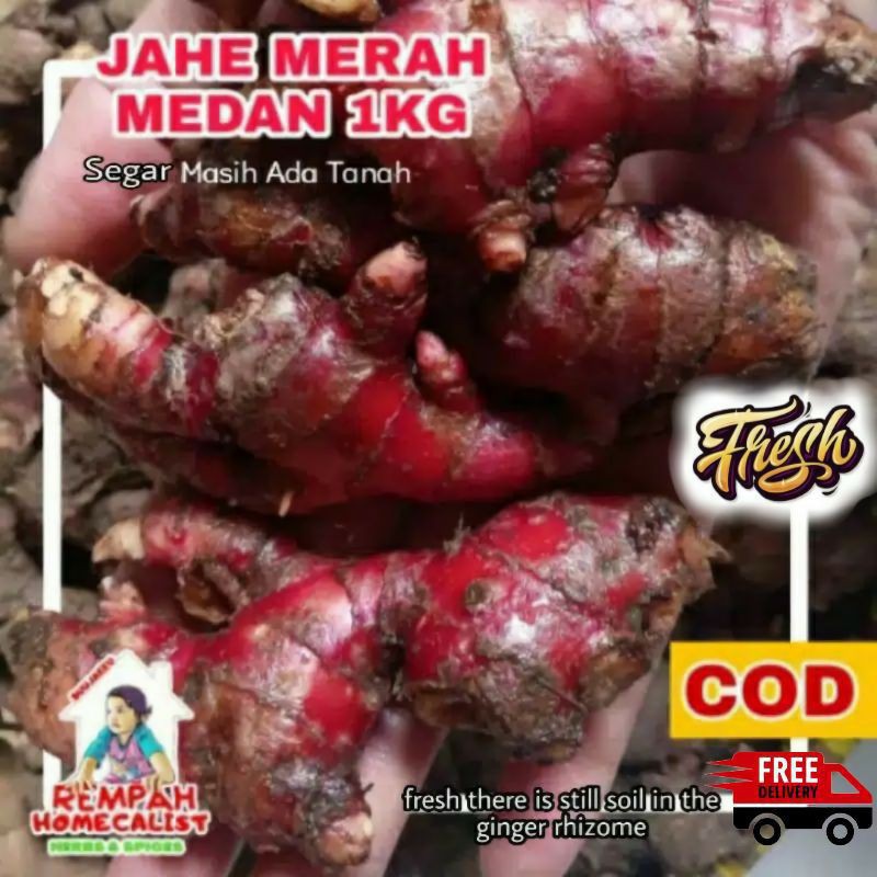 

jahe merah 1kg masih ada tanah/jahe medan super herb