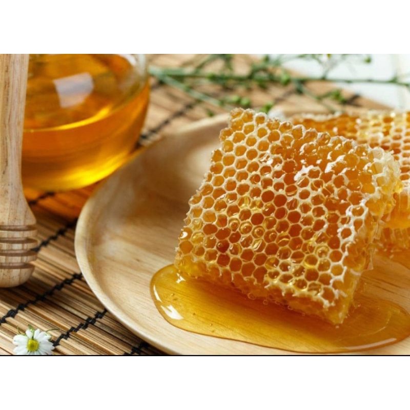 

HONEYCOMB MADU SARANG ASLI MURAH MADU ASLI