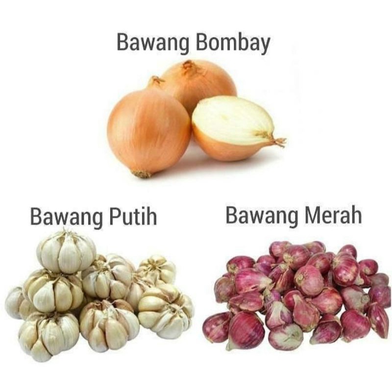 

ANEKA BAWANG FRESH 250gr