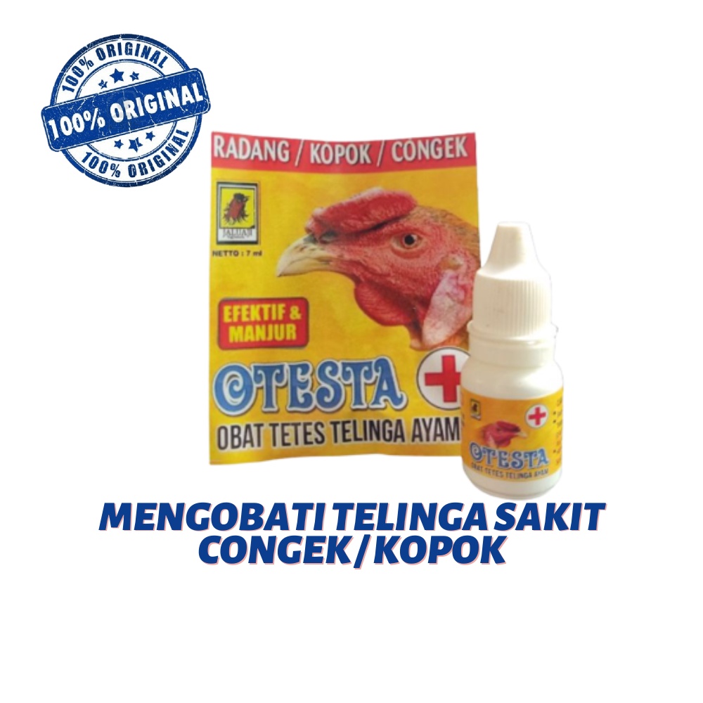 JALU AJI OTESTA - Obat telinga ayam / congek ayam