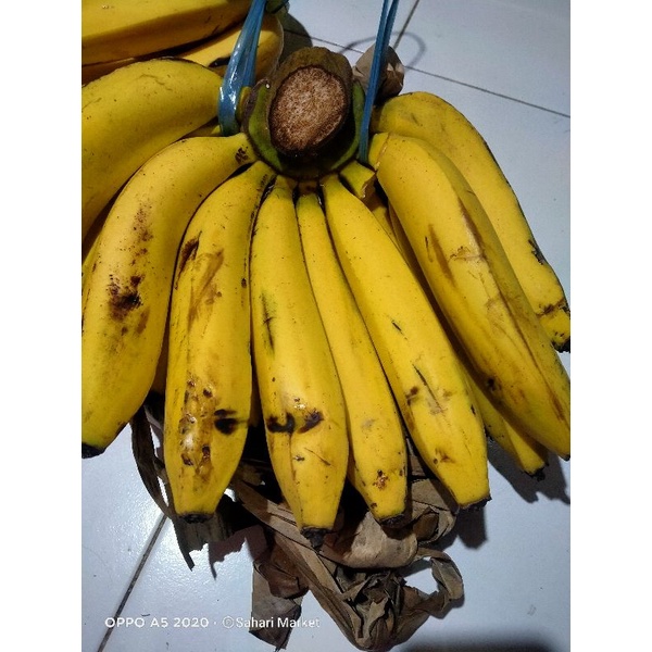 

Pisang Ambon 1sisir