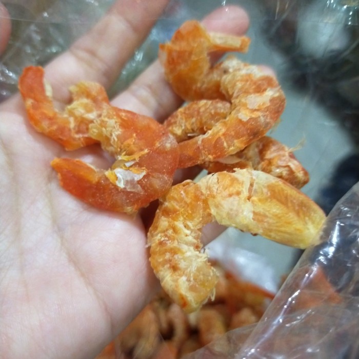 

ds201fs Ebi Kering Besar 100Gr Dscscv