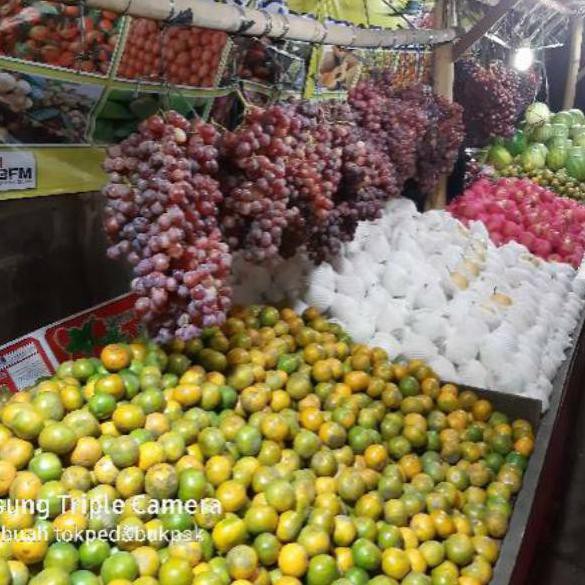 

Serba Murah G8G0T Jeruk medan berastagi 96 Kirim Sekarang